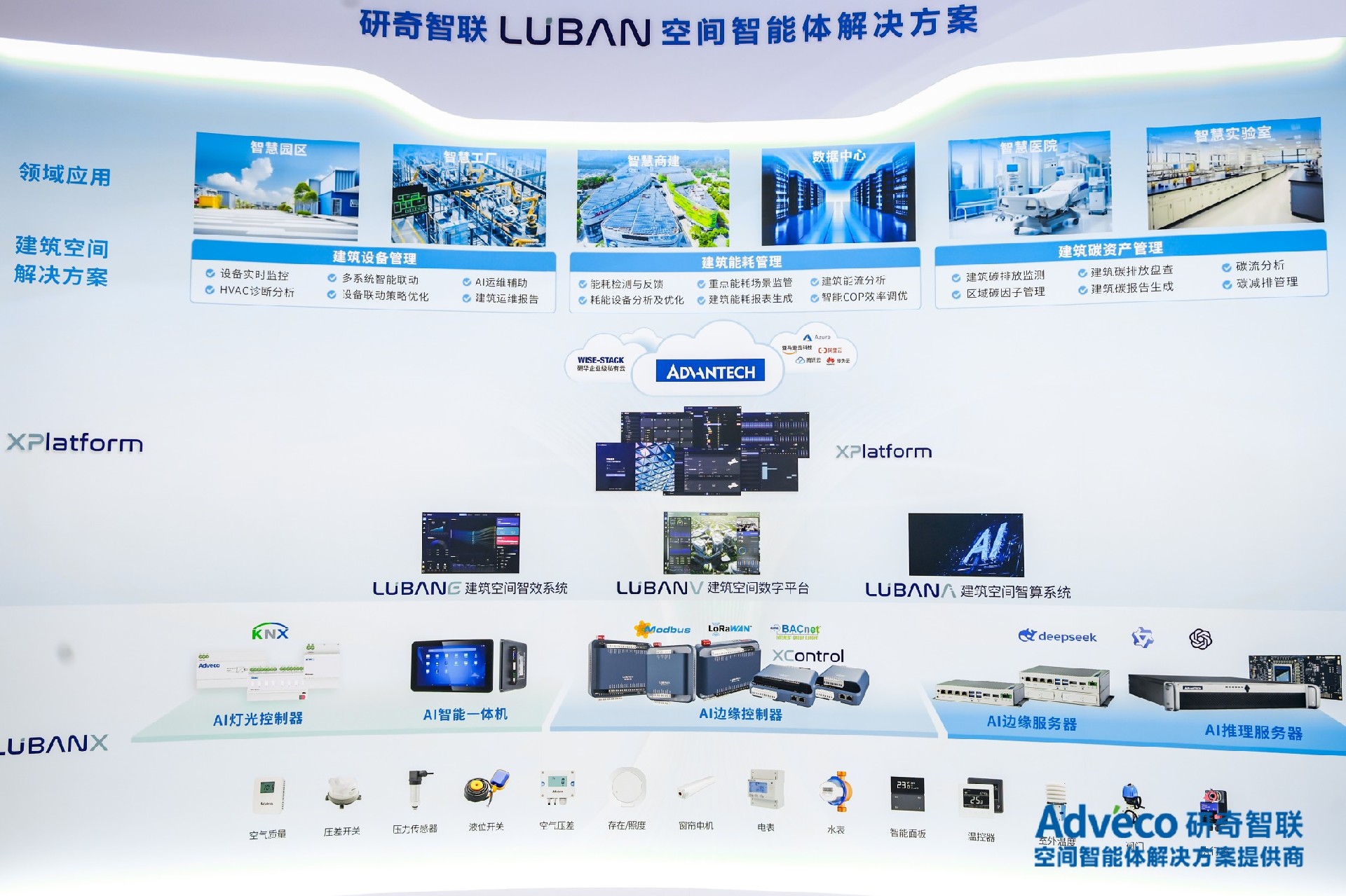 AM2A5956(1).jpg